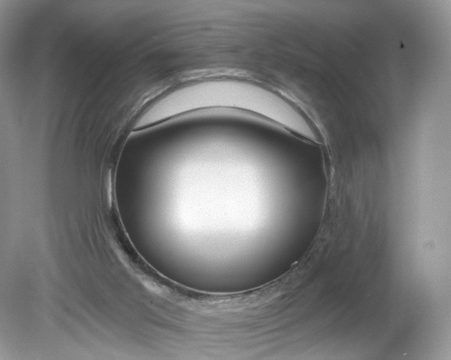 X0000078890013200612042102