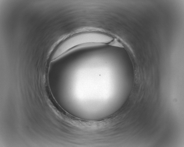 X0000078890015200612042102