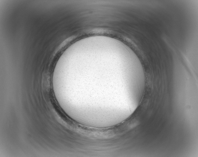 X0000078890016200612042102