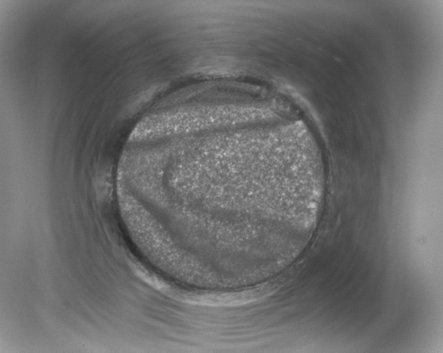 X0000078890017200612042102