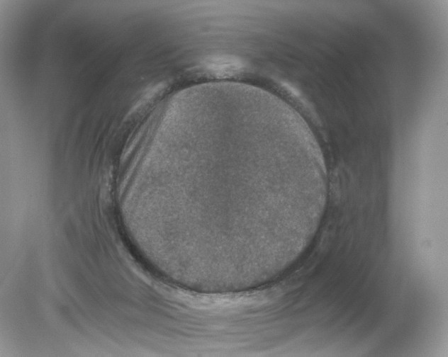 X0000078890018200612042102