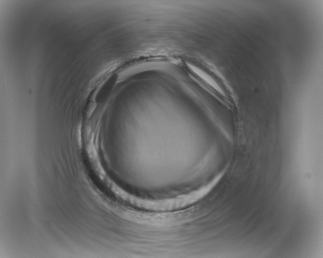 X0000078890019200612042102