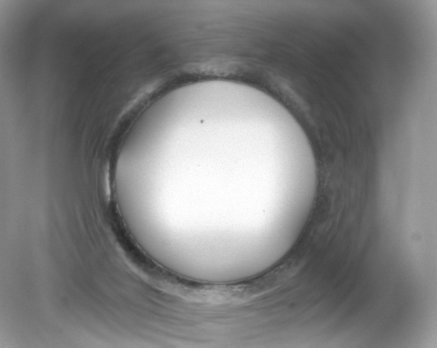 X0000078890020200612042102