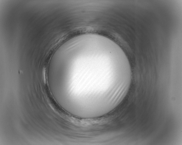 X0000078890022200612042102