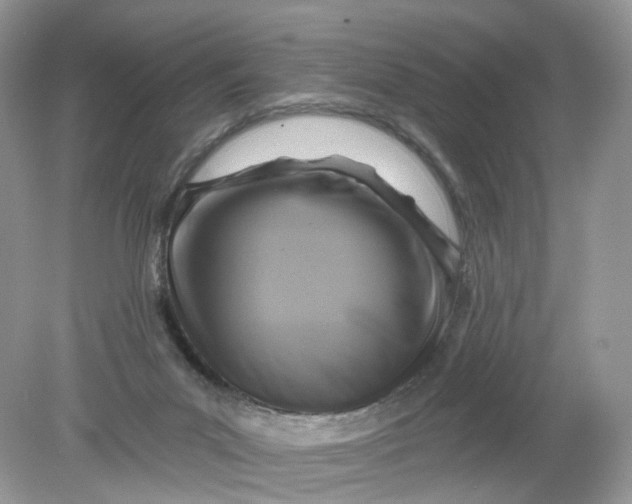 X0000078890023200612042102