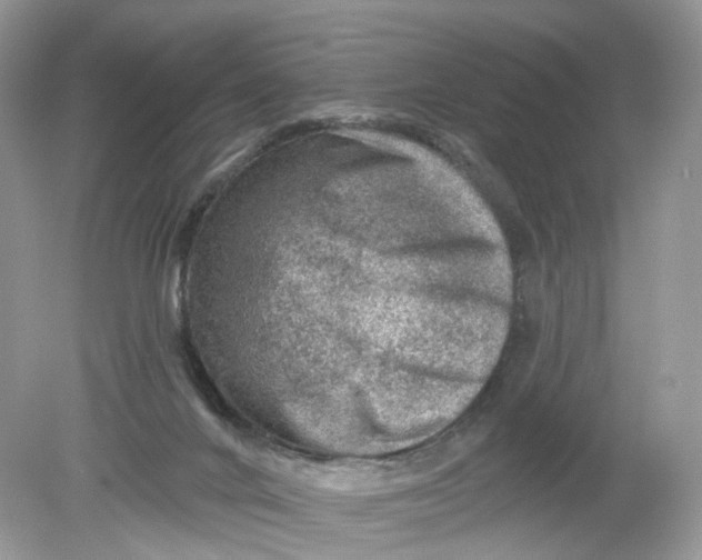 X0000078890024200612042102