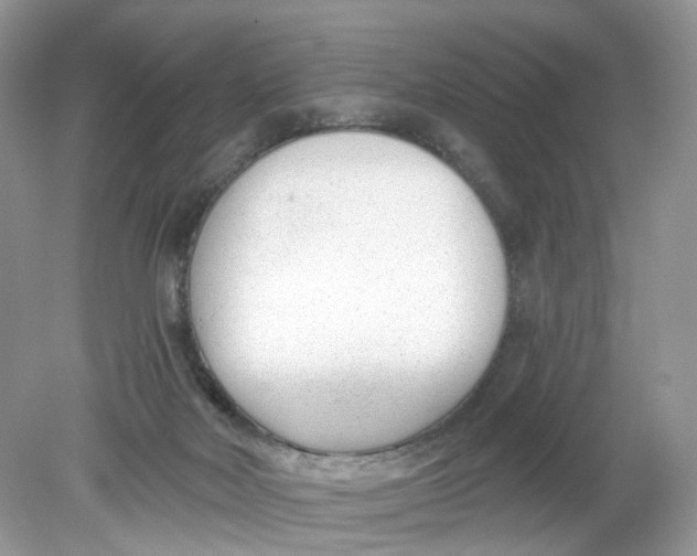 X0000078890026200612042102