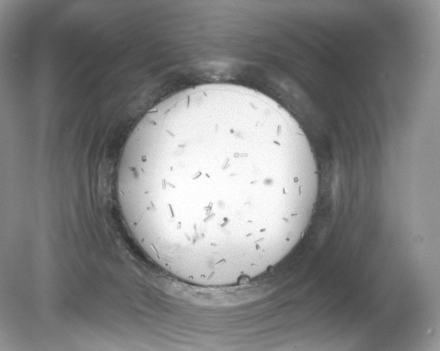 X0000078890030200612042102