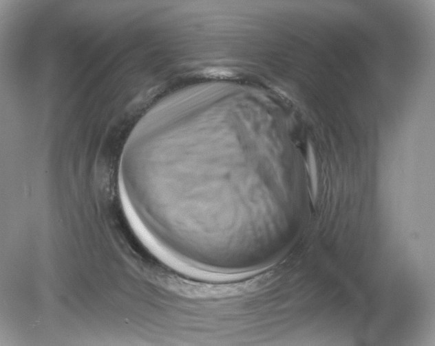 X0000078890031200612042102