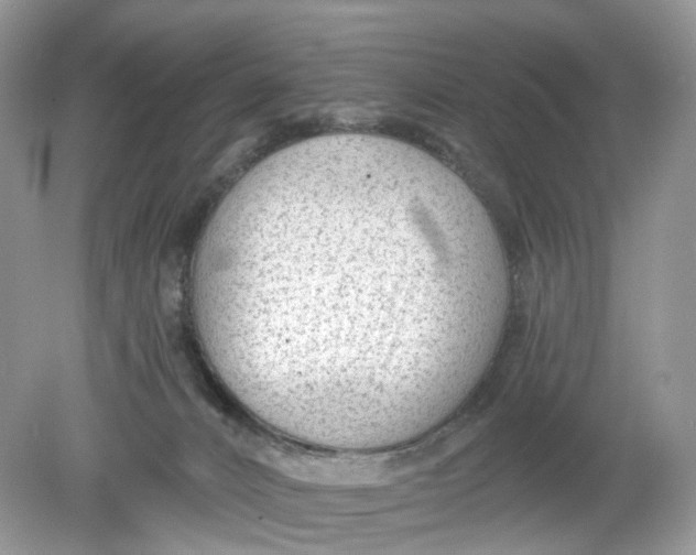 X0000078890032200612042102