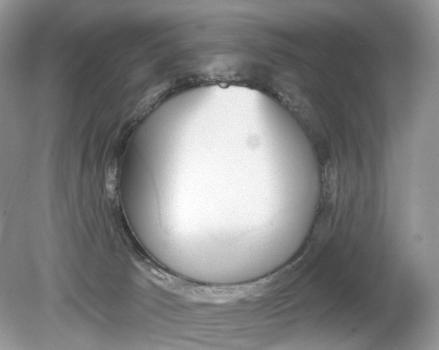 X0000078890033200612042101