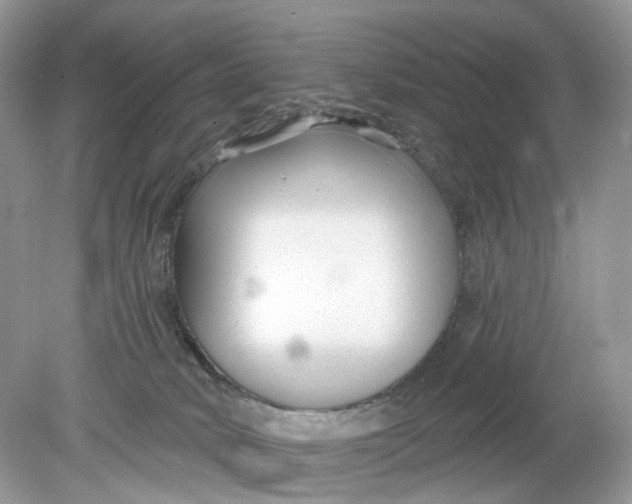 X0000078890034200612042101