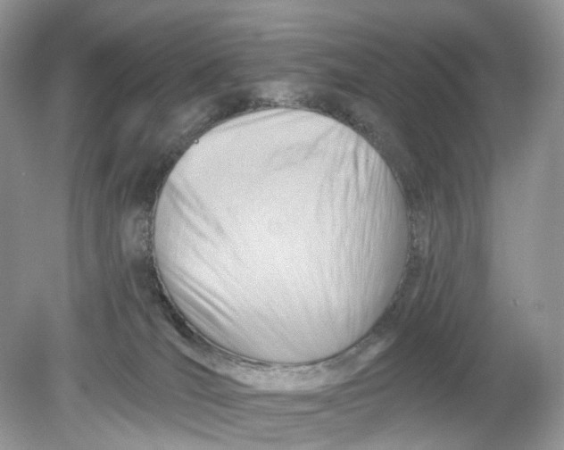 X0000078890036200612042101