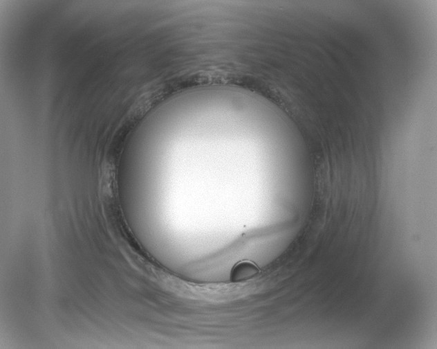 X0000078890038200612042101