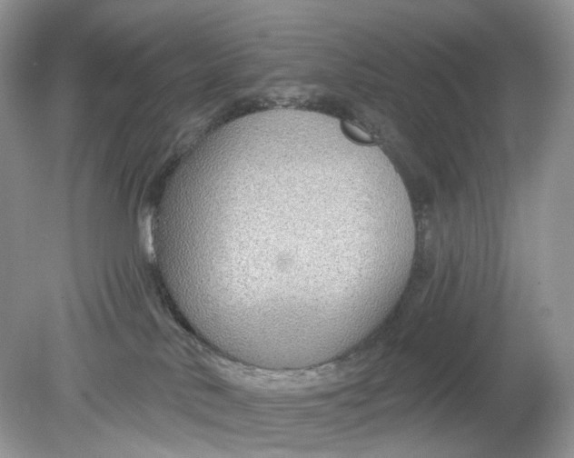 X0000078890042200612042101