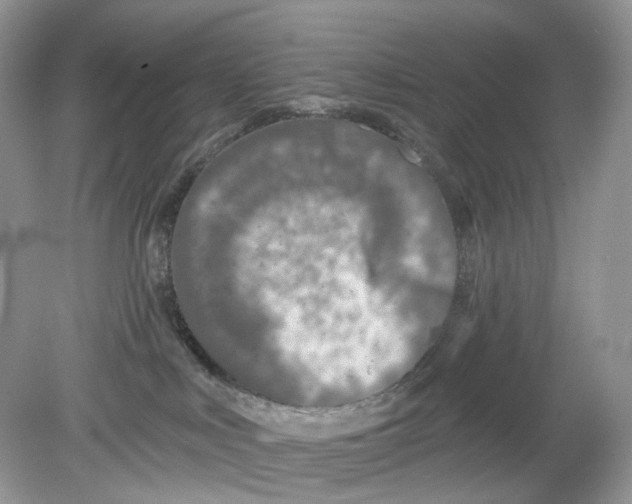 X0000078890043200612042101