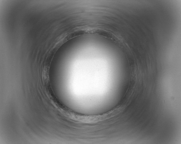 X0000078890044200612042101