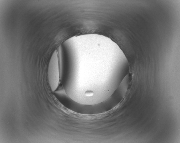 X0000078890045200612042101