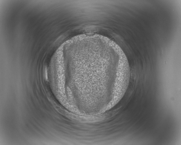 X0000078890046200612042101