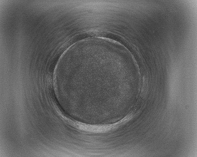 X0000078890048200612042101