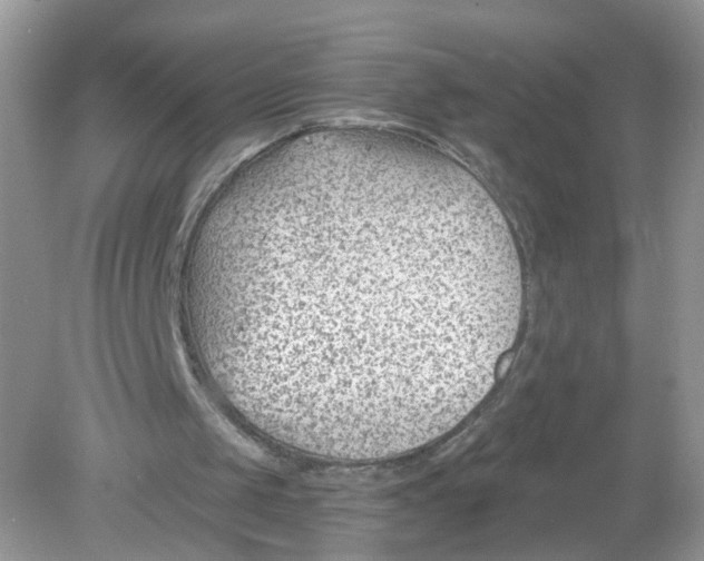 X0000078890049200612042100