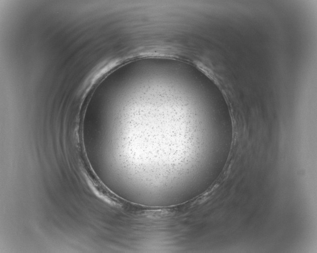 X0000078890050200612042100