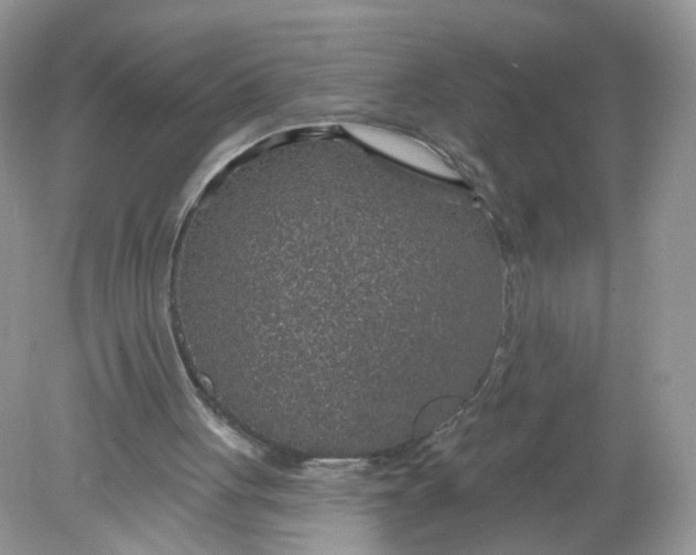 X0000078890051200612042100