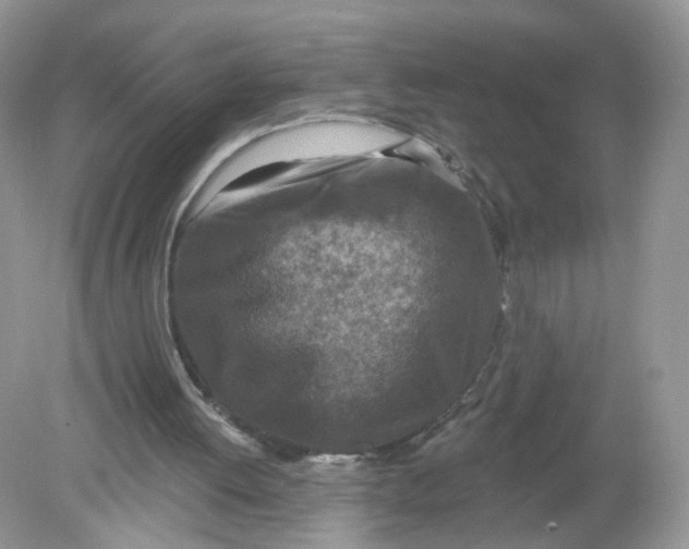 X0000078890052200612042100