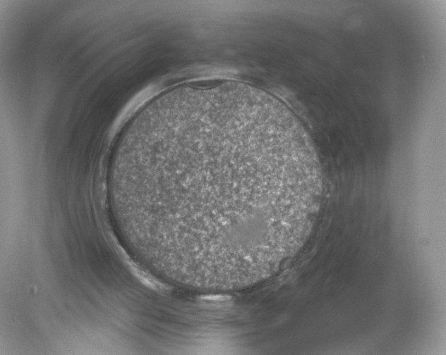 X0000078890053200612042101