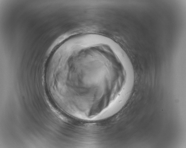 X0000078890054200612042101