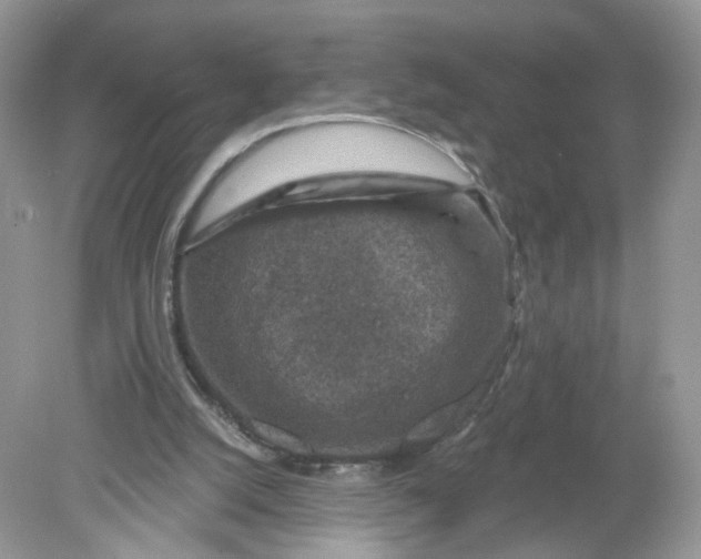 X0000078890056200612042101