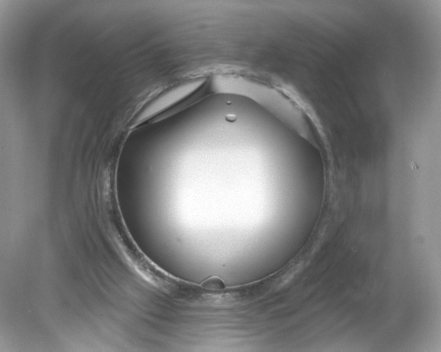 X0000078890057200612042101