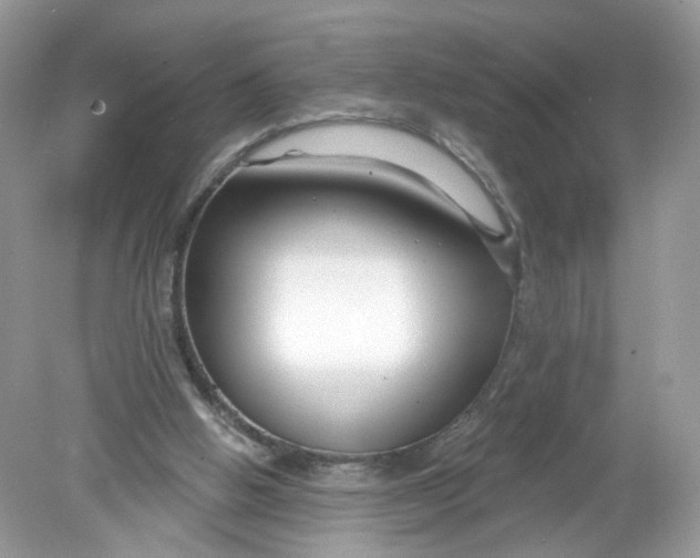 X0000078890058200612042101