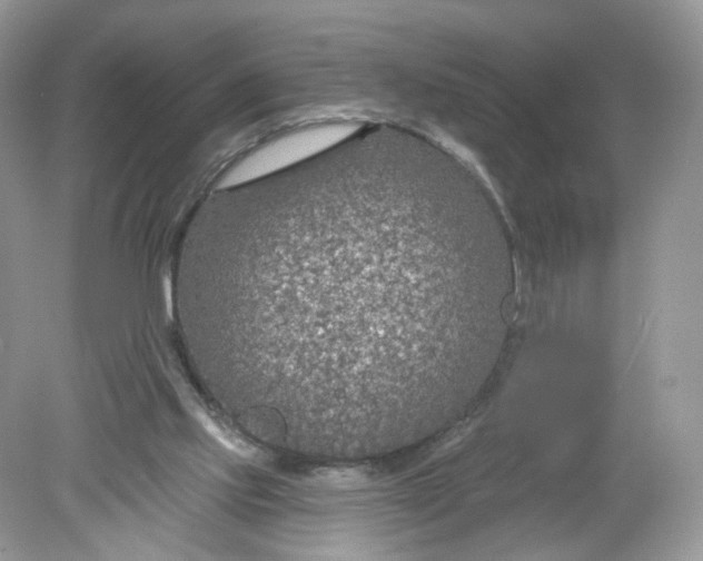 X0000078890061200612042101