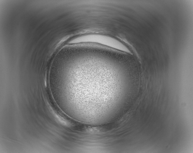 X0000078890062200612042101