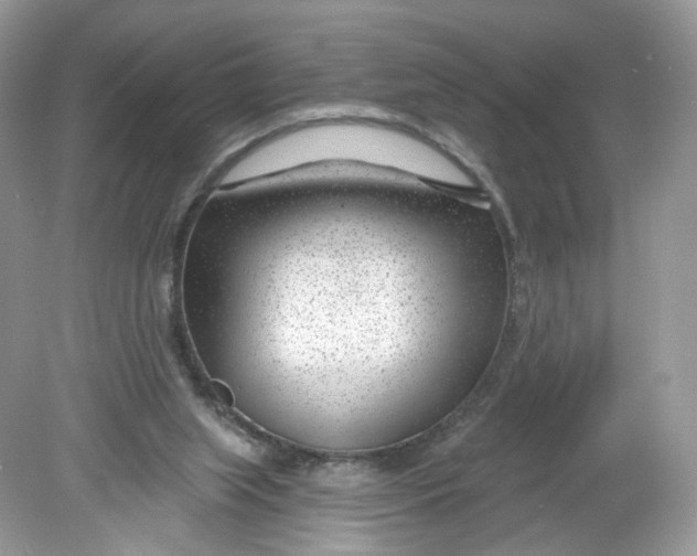 X0000078890063200612042101