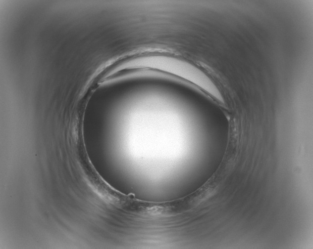 X0000078890064200612042101