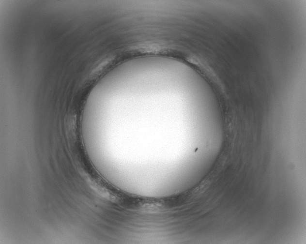 X0000078890066200612042101