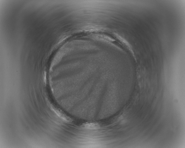 X0000078890067200612042101