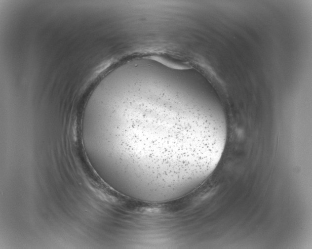 X0000078890068200612042101