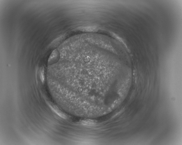 X0000078890069200612042101