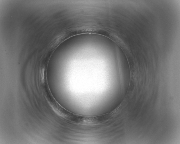 X0000078890070200612042101