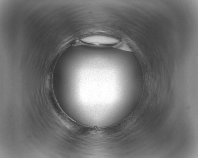 X0000078890071200612042101