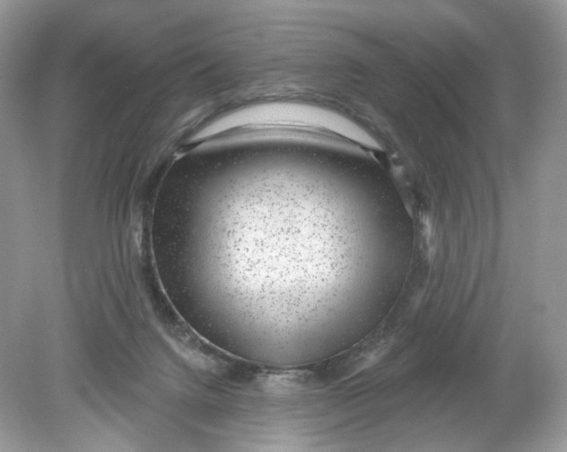 X0000078890072200612042101