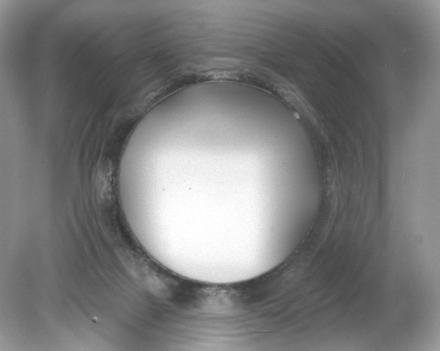 X0000078890073200612042101