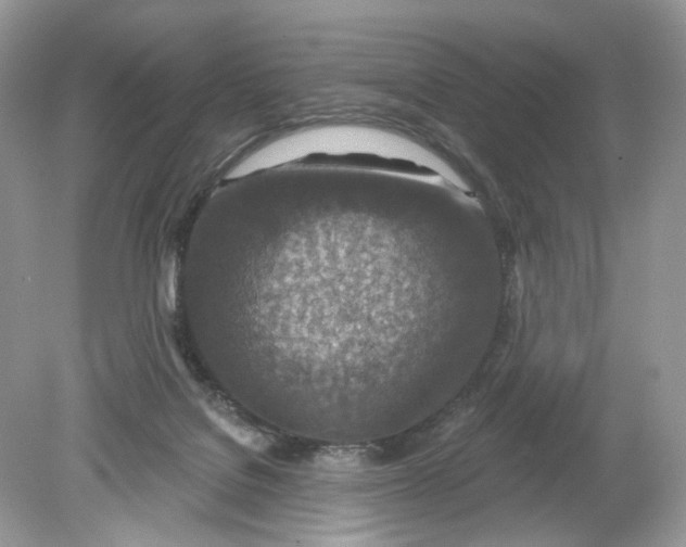 X0000078890076200612042101