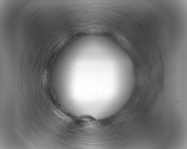 X0000078890077200612042101