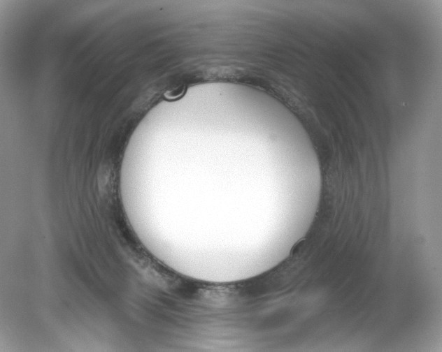 X0000078890079200612042101