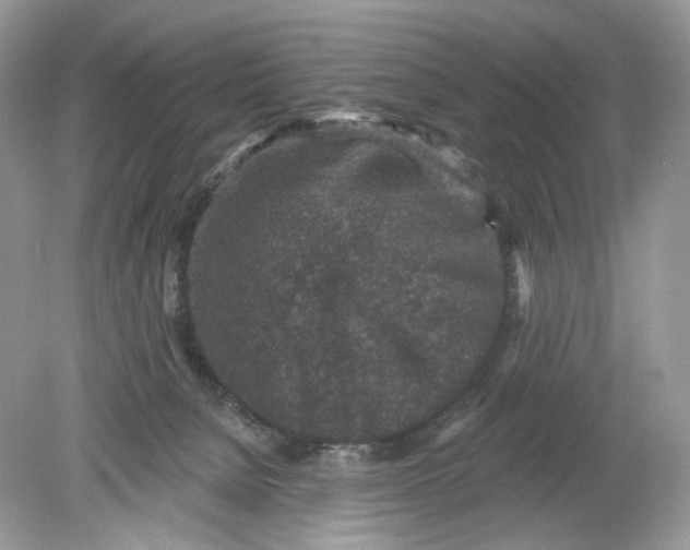 X0000078890080200612042101