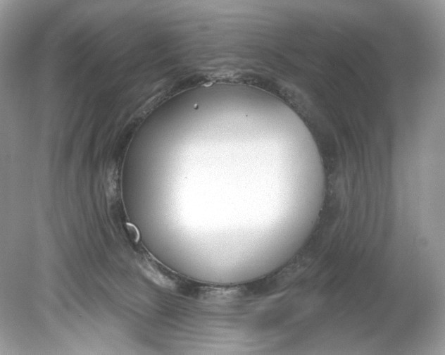 X0000078890081200612042101